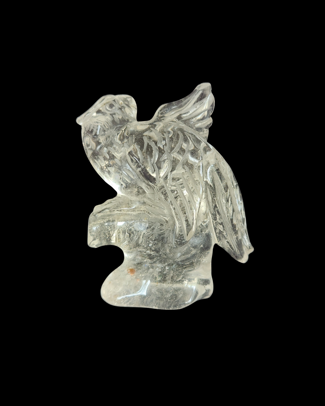 Parrot - Clear Quartz