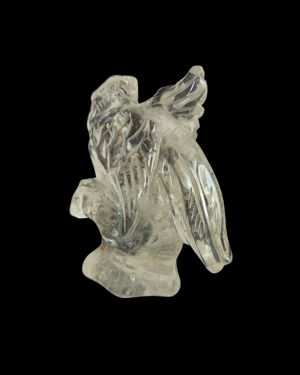 Parrot - Clear Quartz
