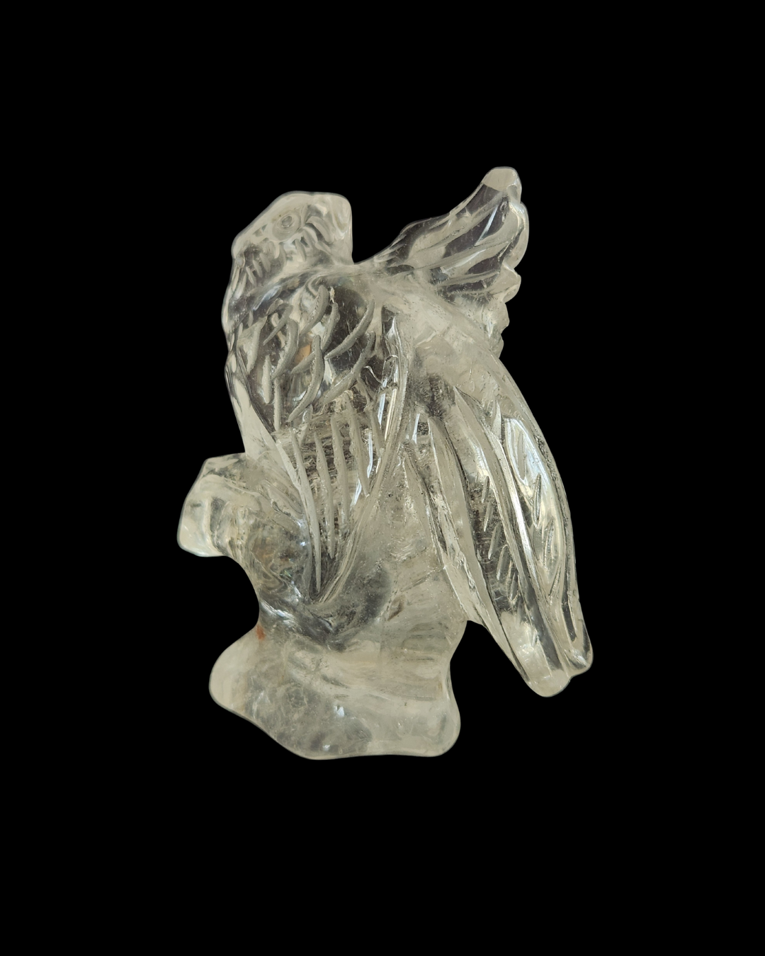 Parrot - Clear Quartz