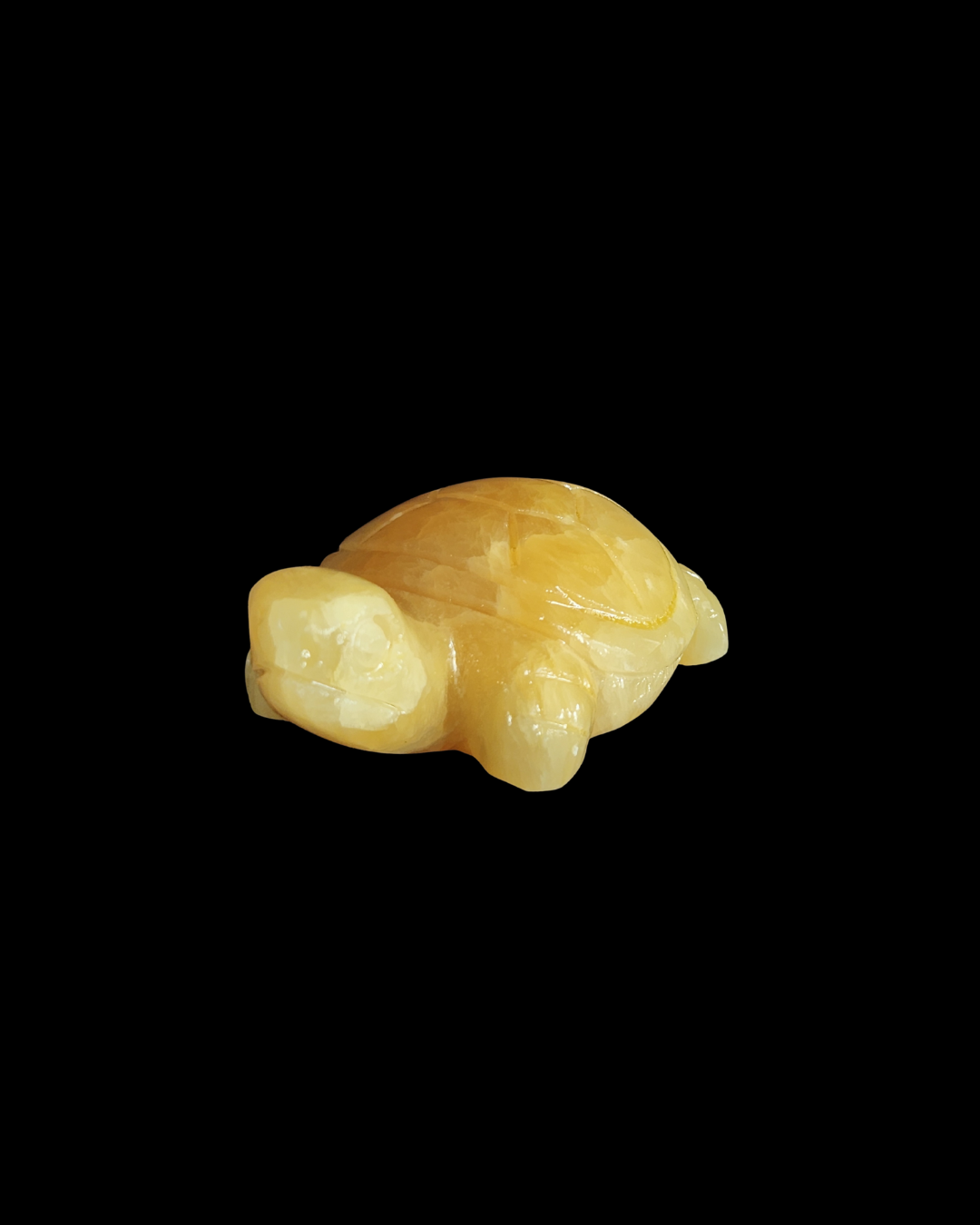 Turtle - Yellow Calcite