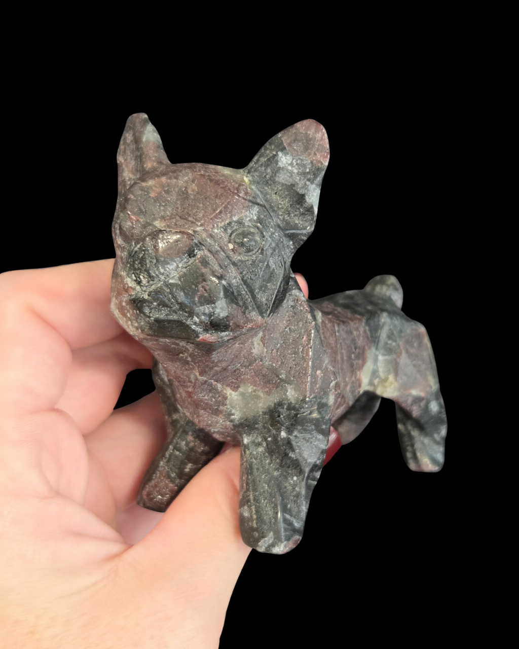 French Bulldog - Garnet