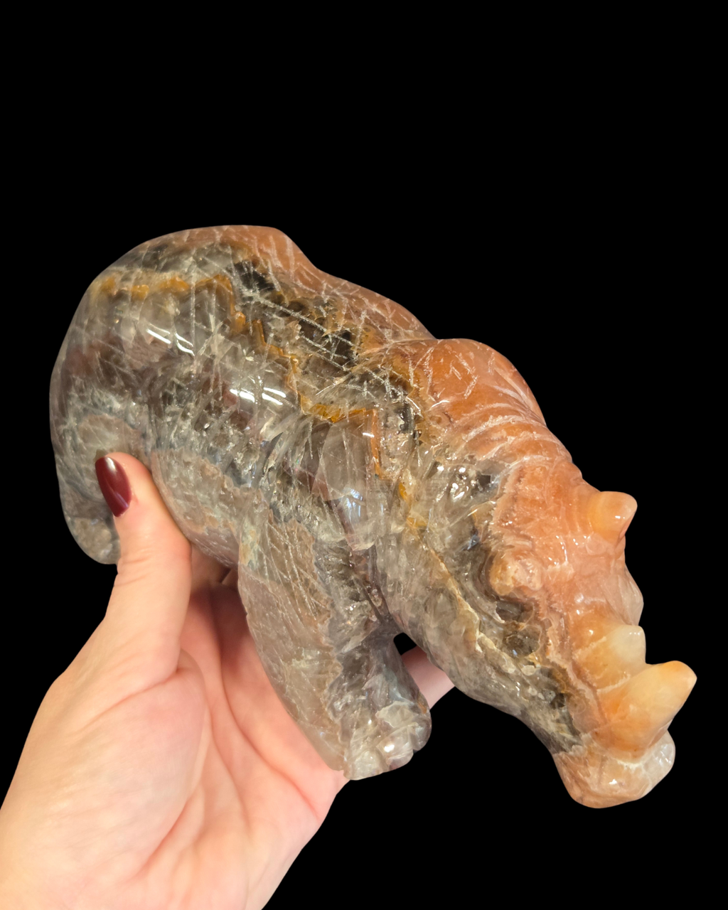 Rhinoceros - Mexican Amethyst Agate