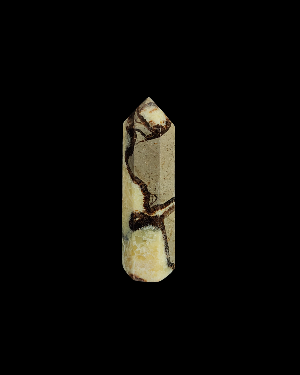 Generator - Septarian
