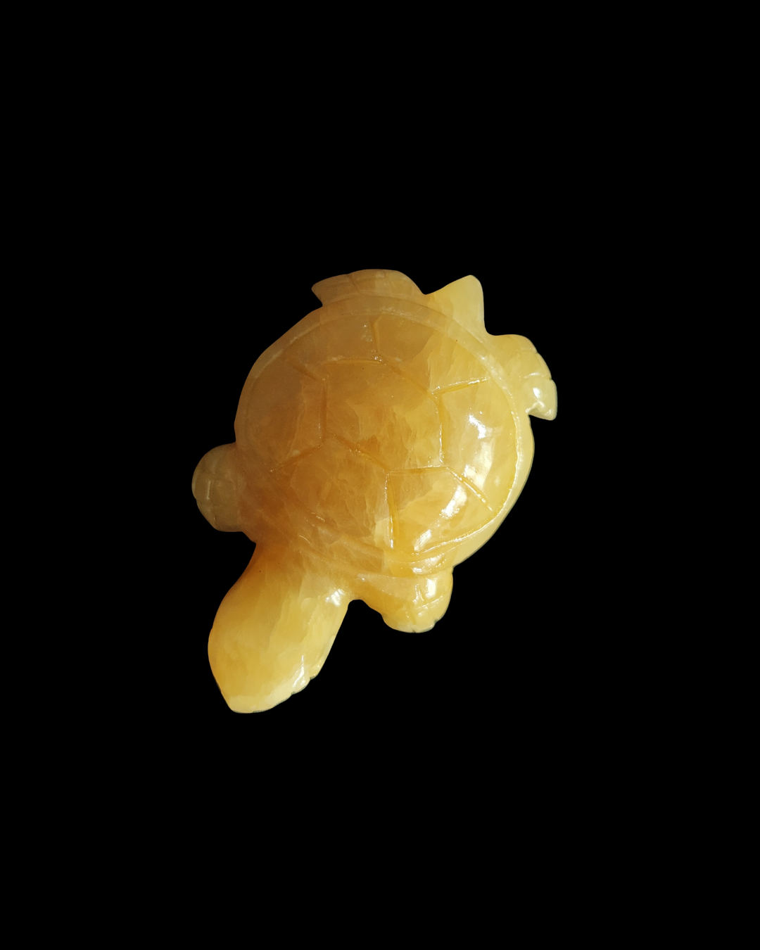 Turtle - Yellow Calcite
