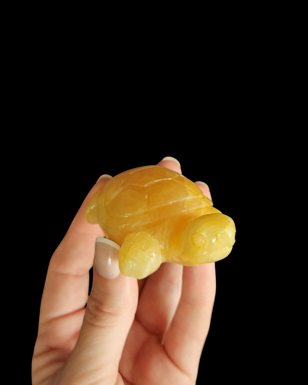 Turtle - Yellow Calcite
