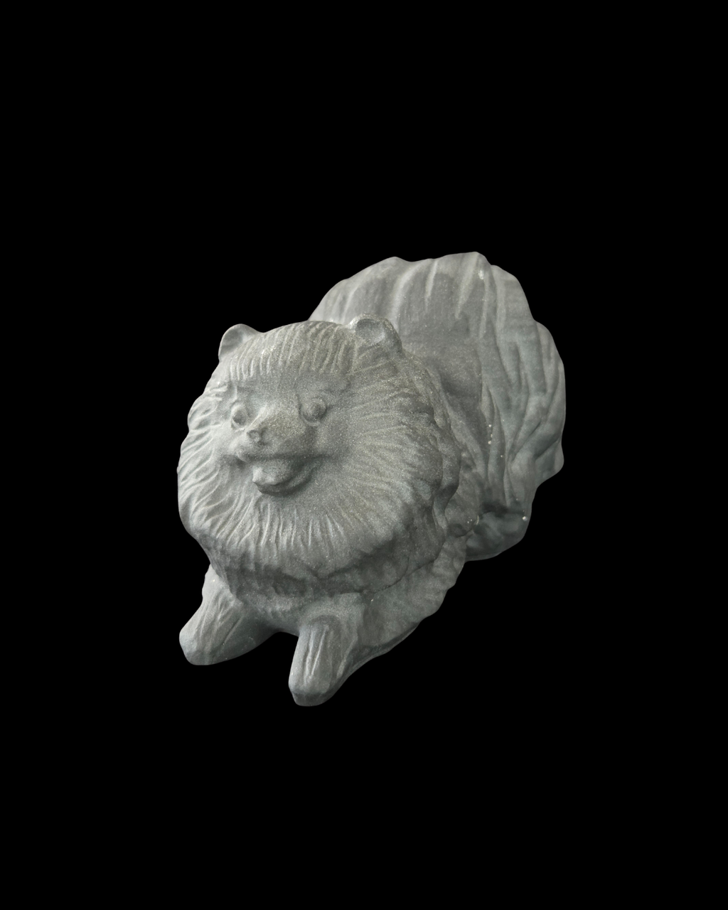 Pomeranian - Black Obsidian