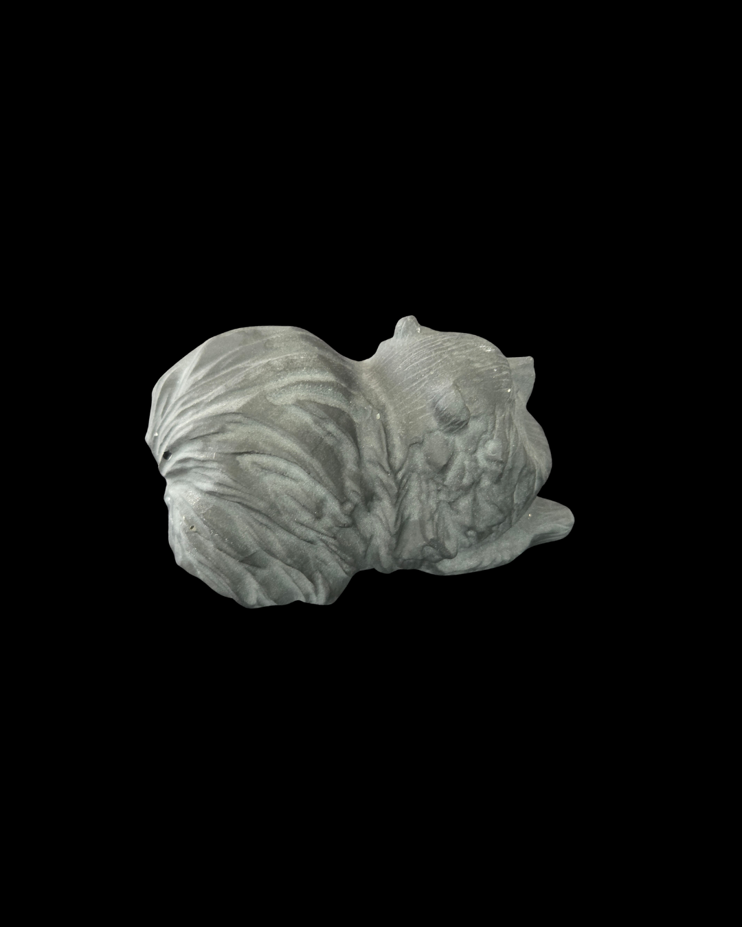 Pomeranian - Black Obsidian