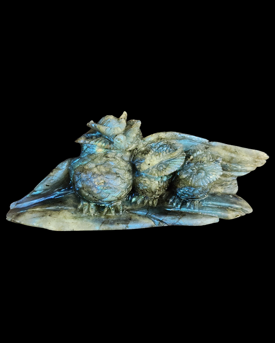 Owl & Babies - Labradorite