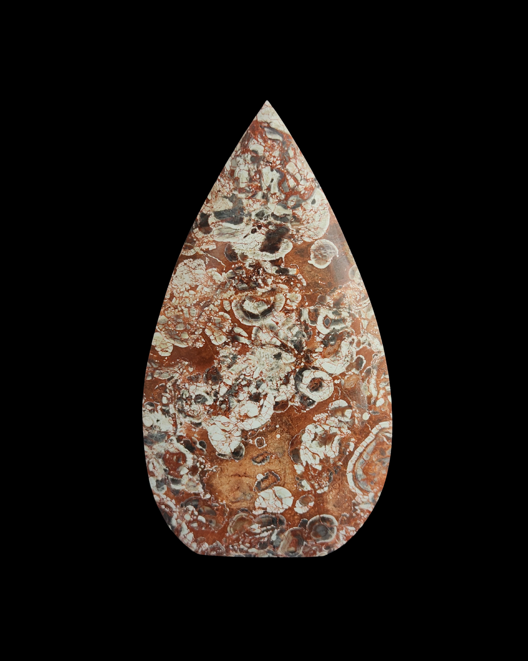 Teardrop - Money Agate