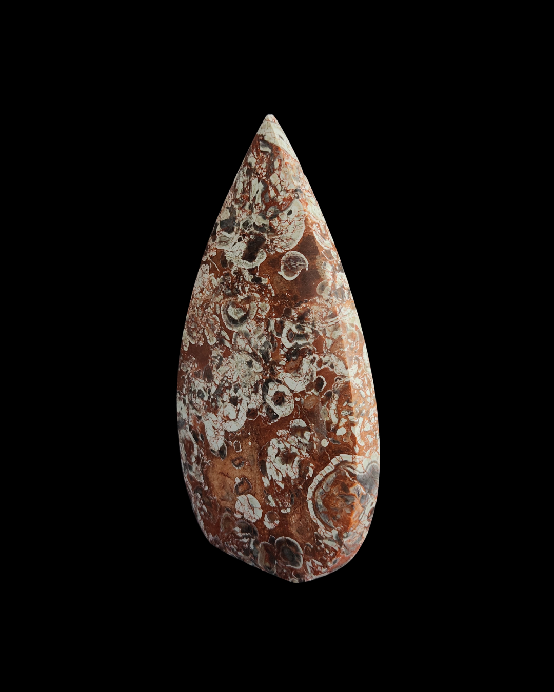 Teardrop - Money Agate