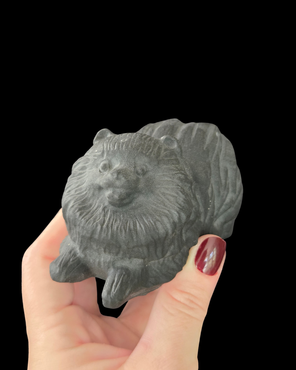 Pomeranian - Black Obsidian