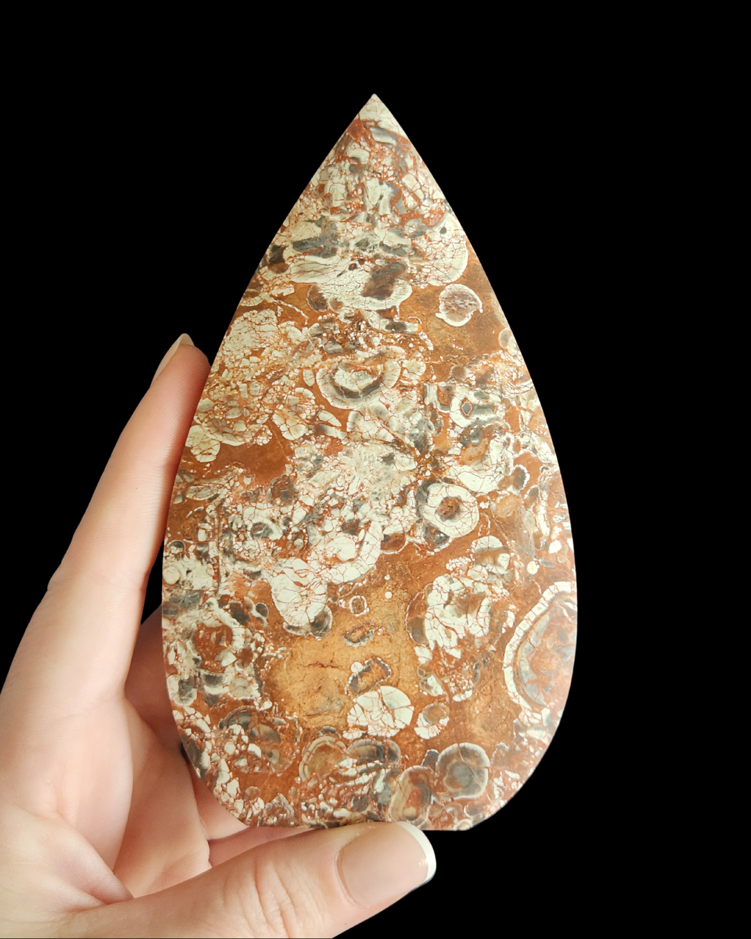 Teardrop - Money Agate