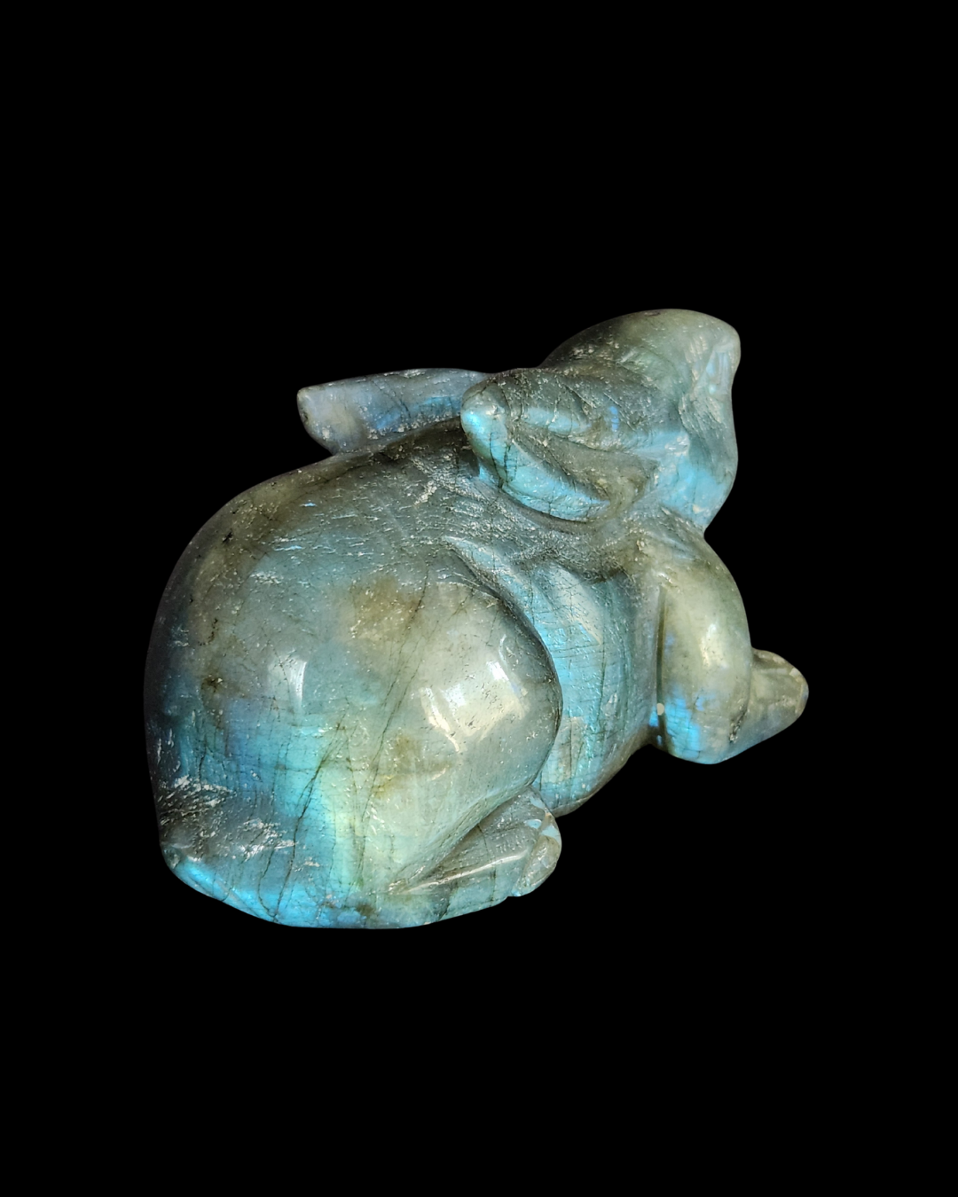 Rabbit - Labradorite