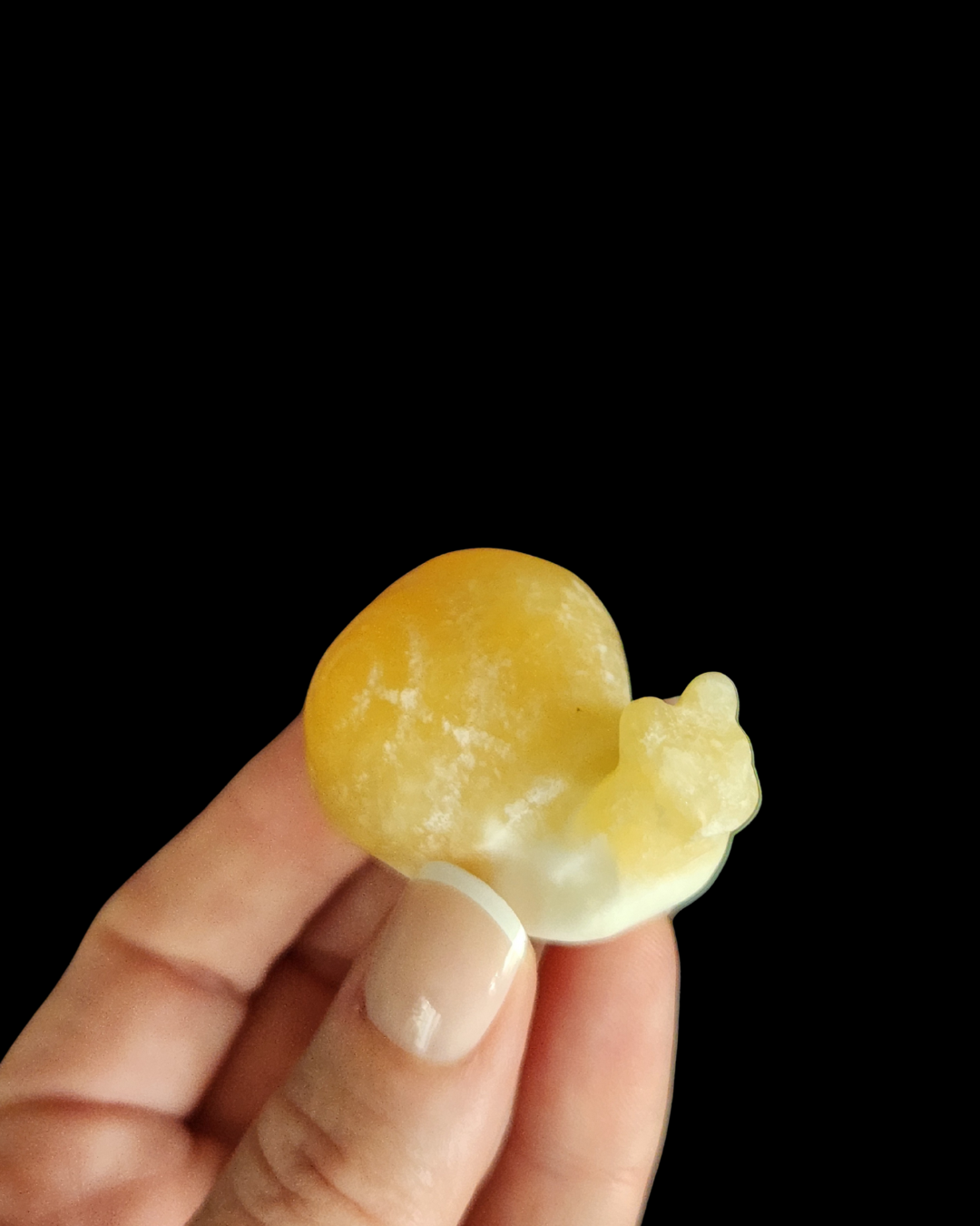Snail - Yellow Calcite