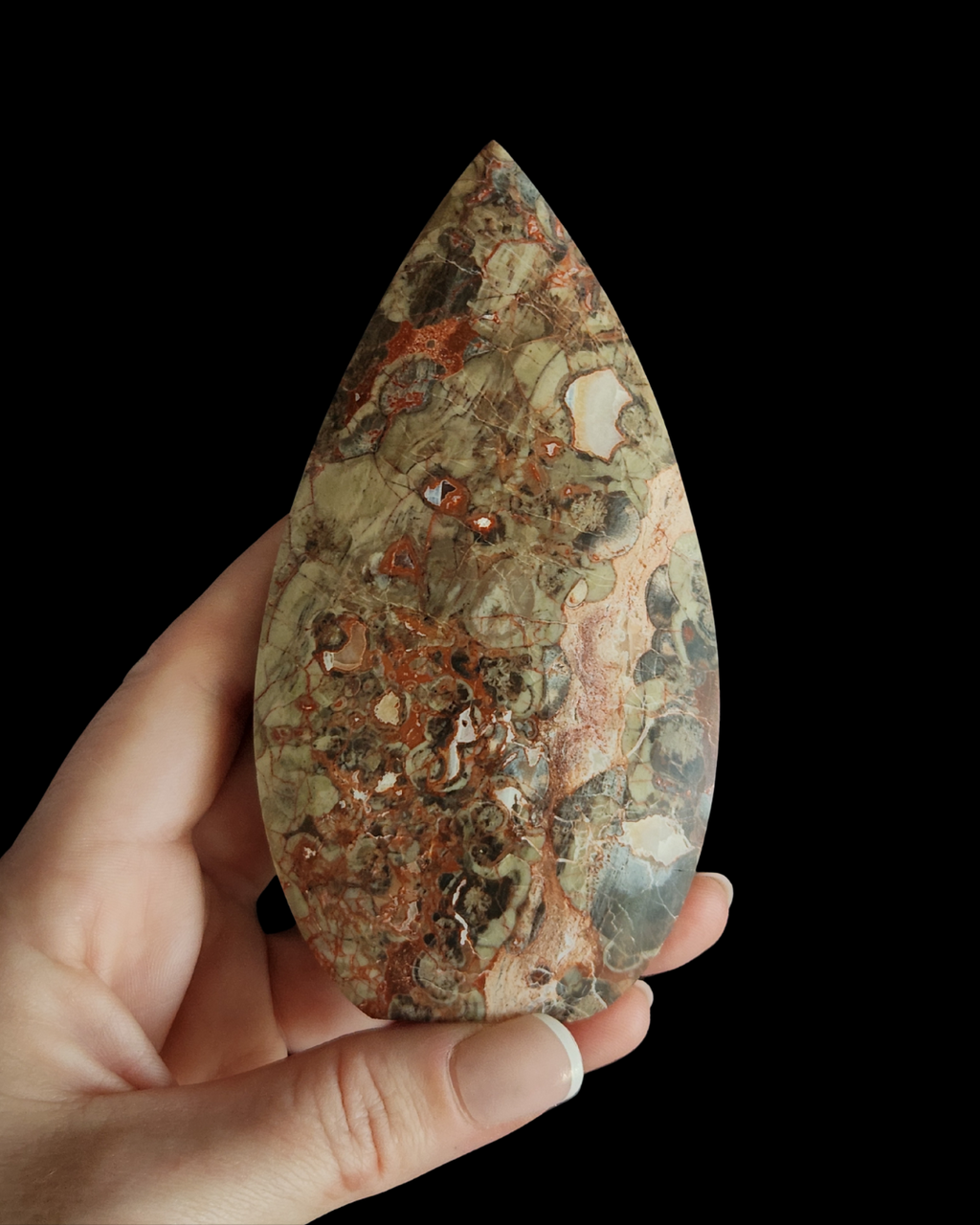 Teardrop - Money Agate