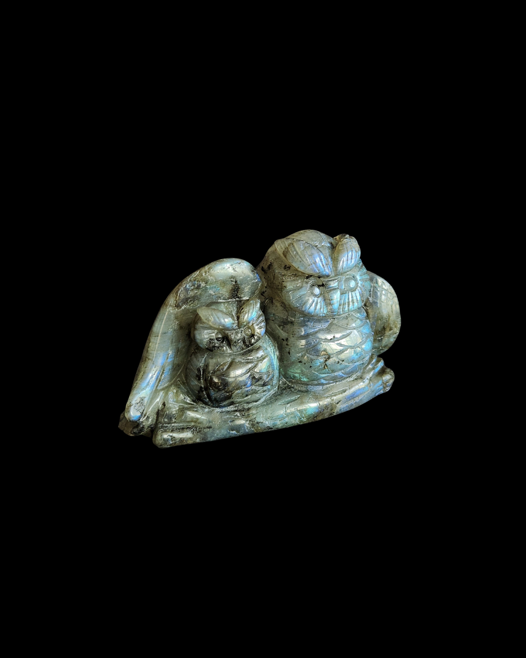 Owl - Labradorite
