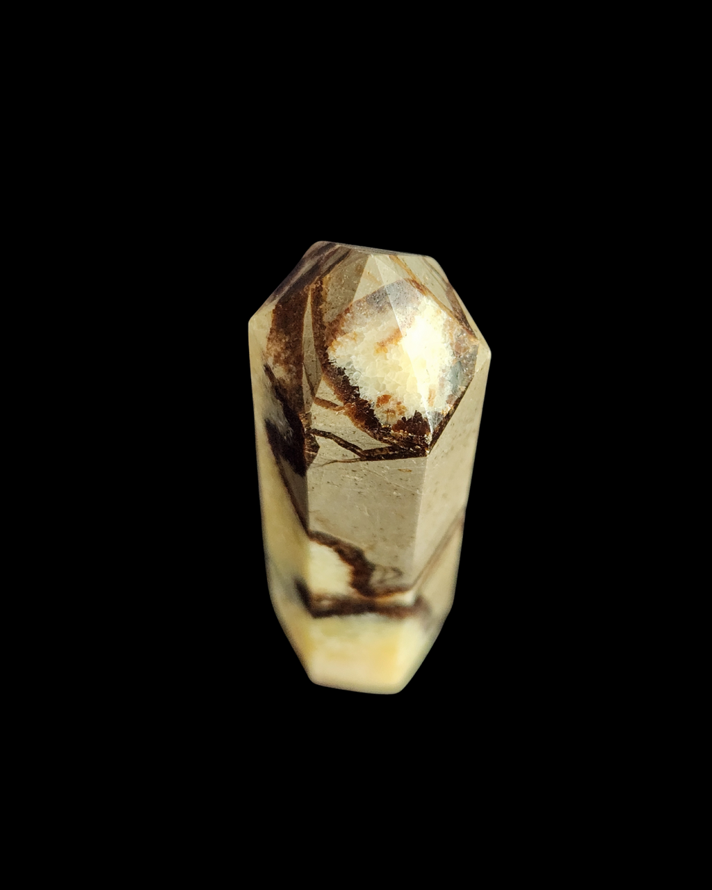 Generator - Septarian