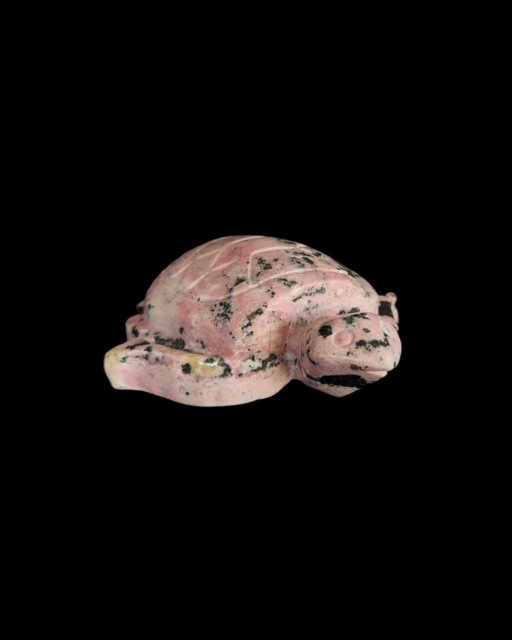 Turtle - Rhodonite