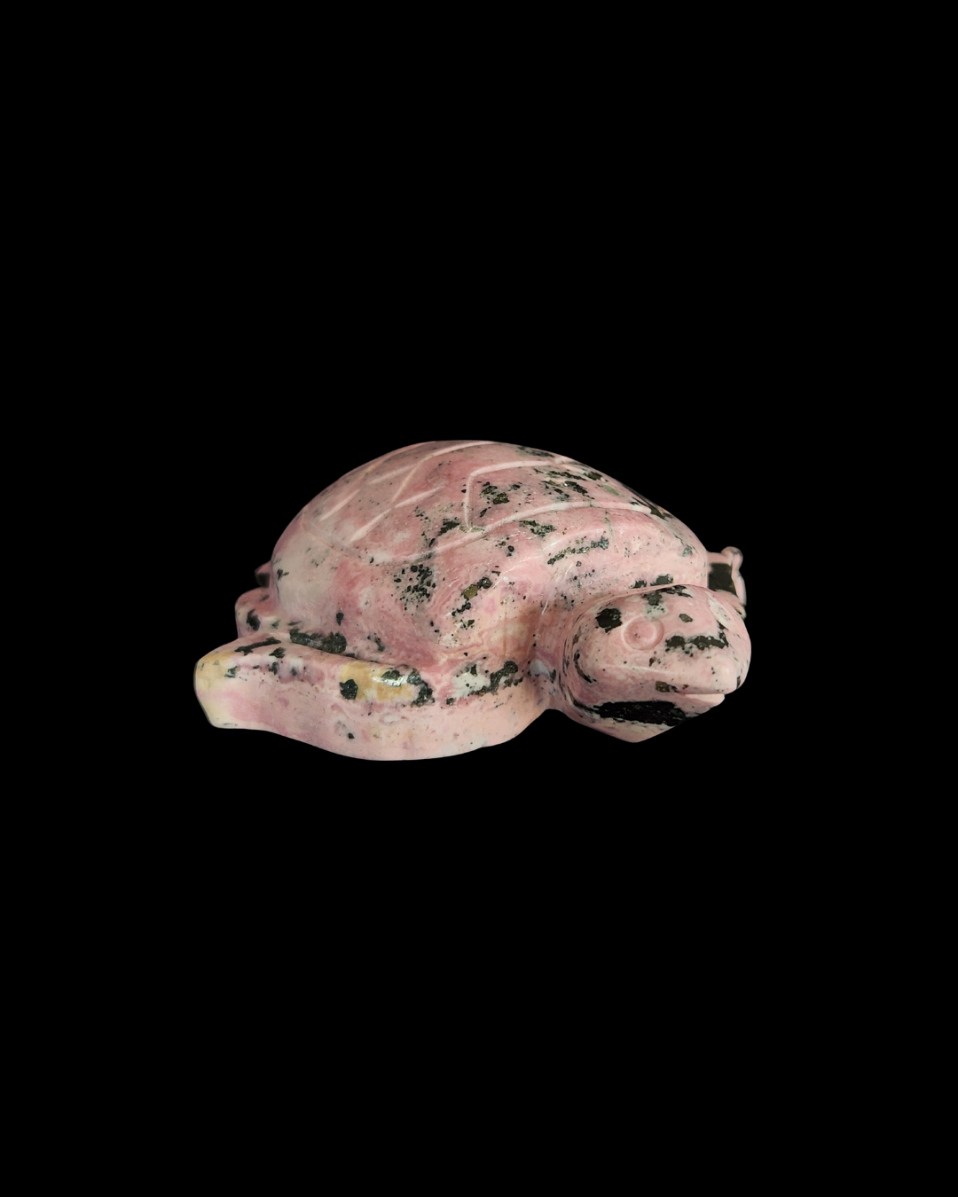 Turtle - Rhodonite