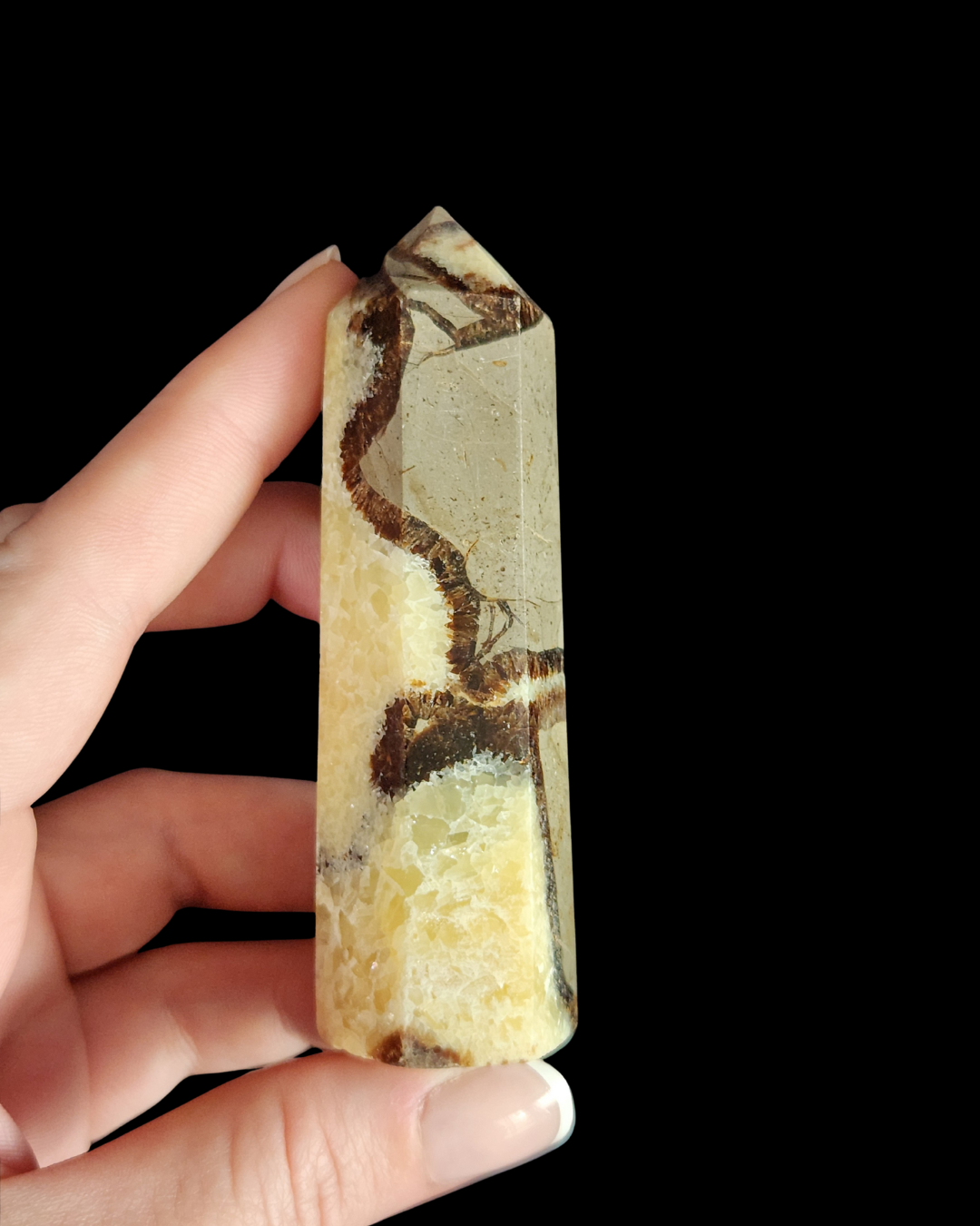 Generator - Septarian