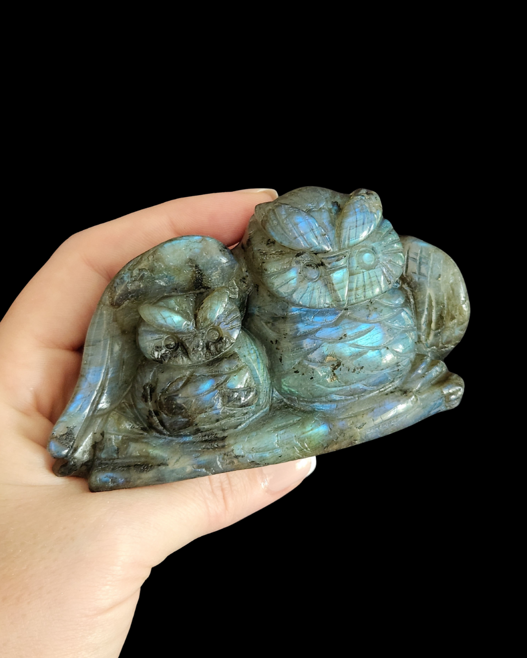 Owl - Labradorite
