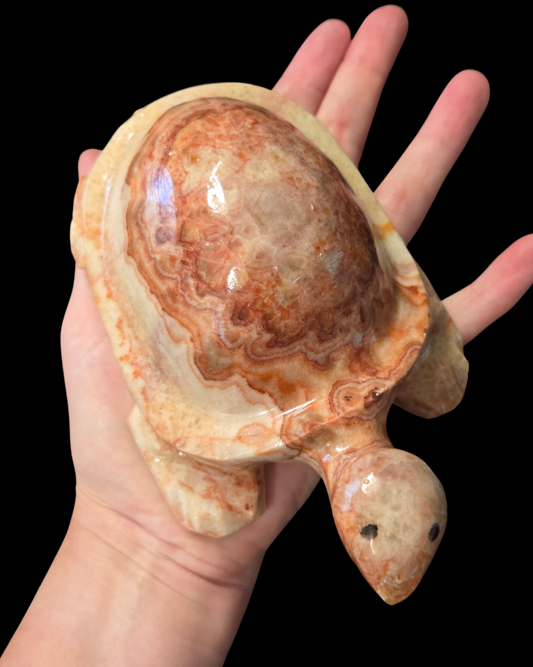 Turtle - Pork Stone (Red Banded Calcite)