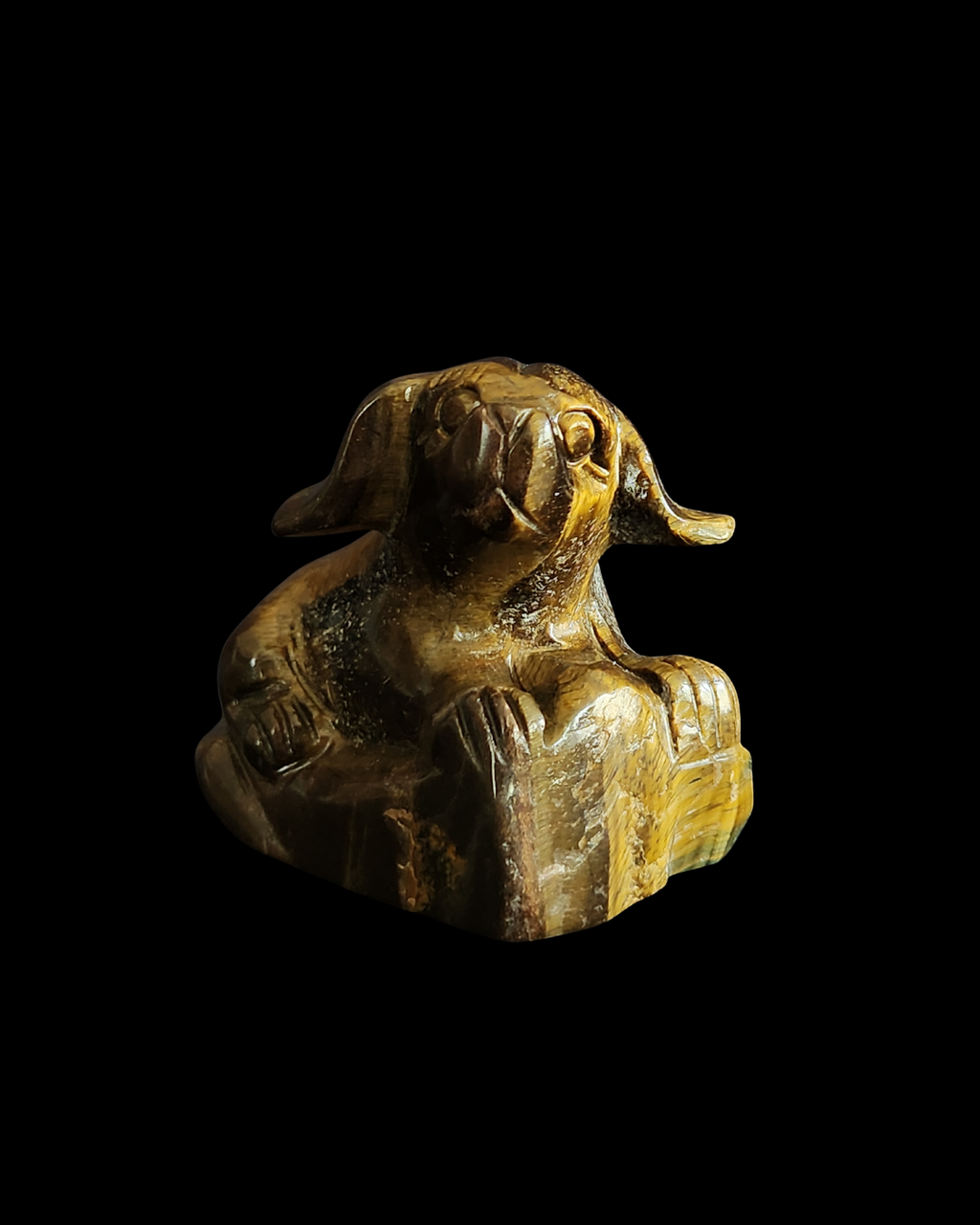 Dog - Tigers Eye