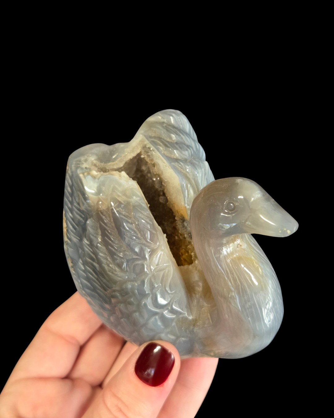 Swan - Agate Geode