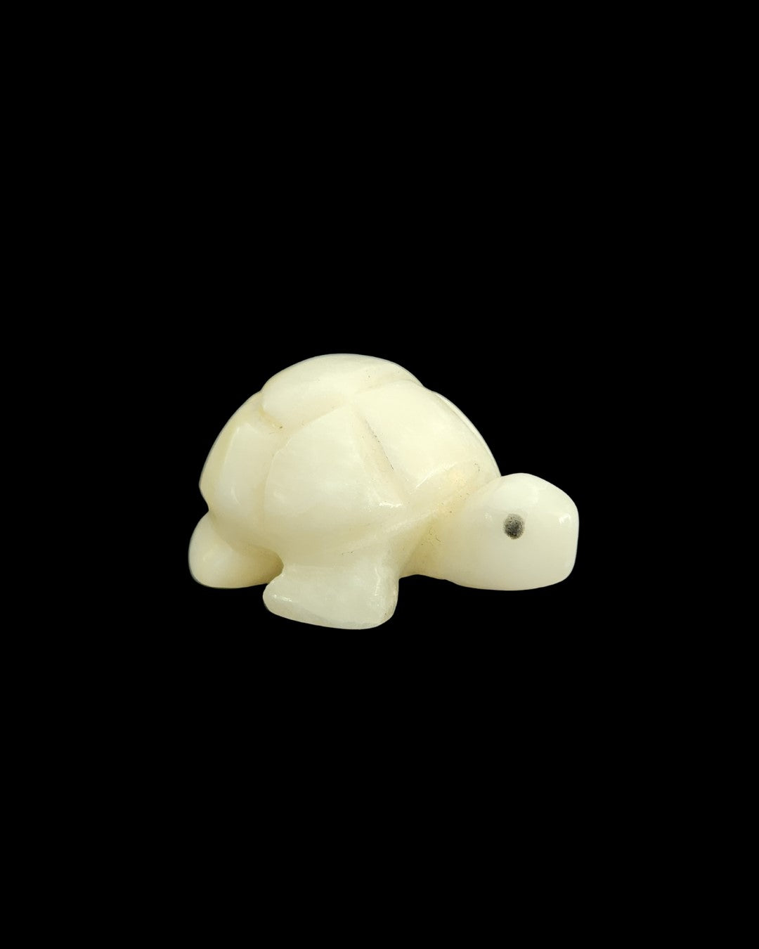 Turtle - White Jade