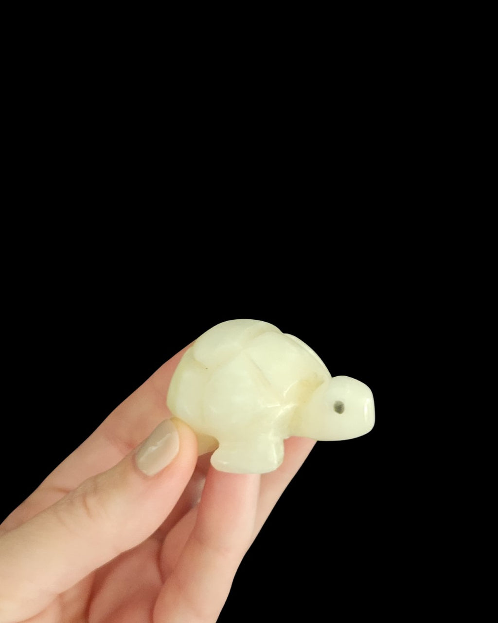 Turtle - White Jade