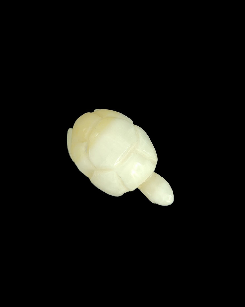 Turtle - White Jade