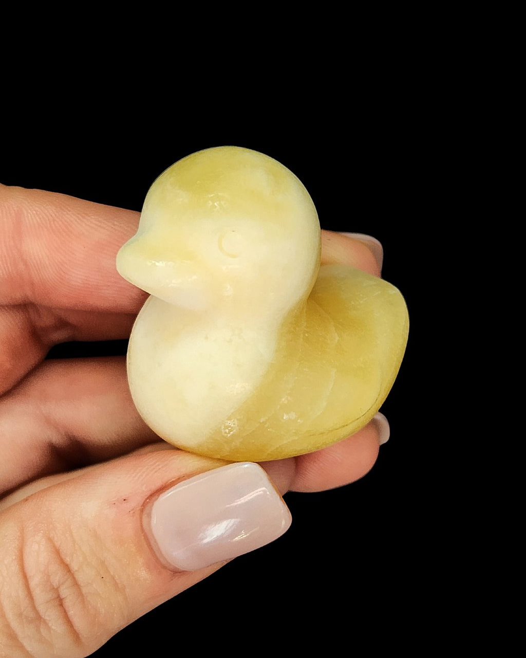 Duck - Yellow Lace Agate