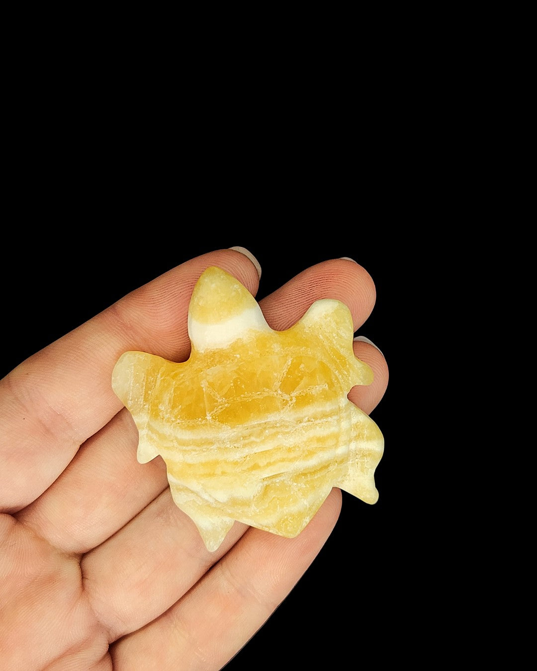 Turtle - Yellow Lace Agate