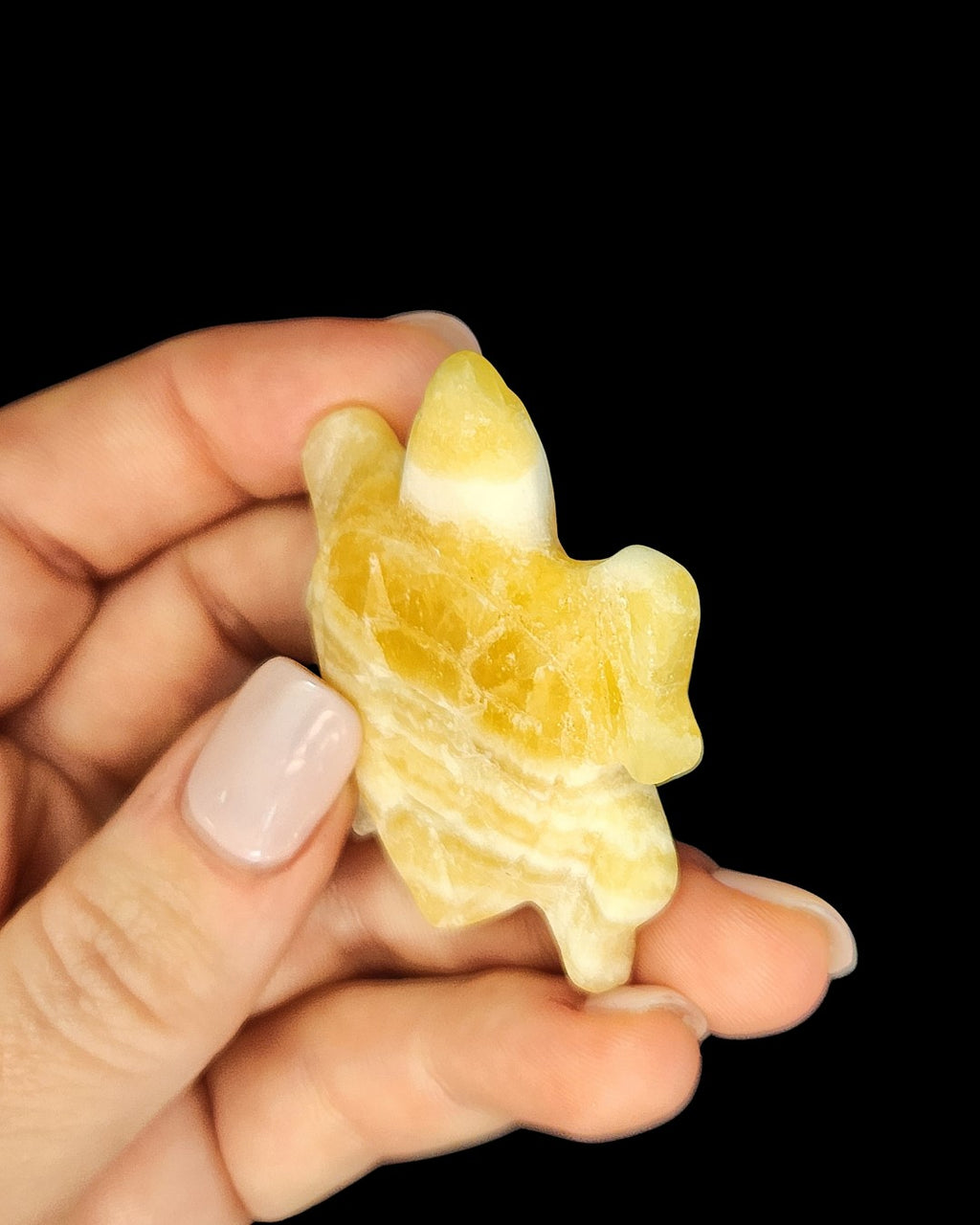 Turtle - Yellow Lace Agate