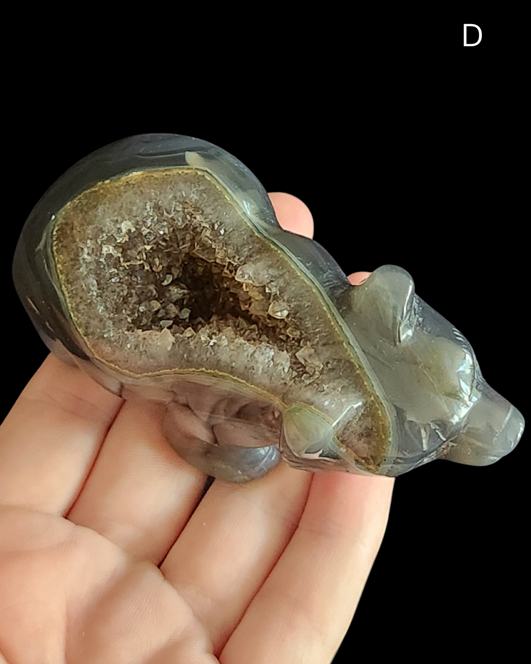 Bear - Amethyst Agate Geode