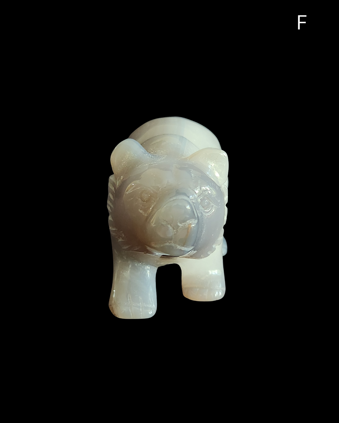 Bear - Amethyst Agate Geode