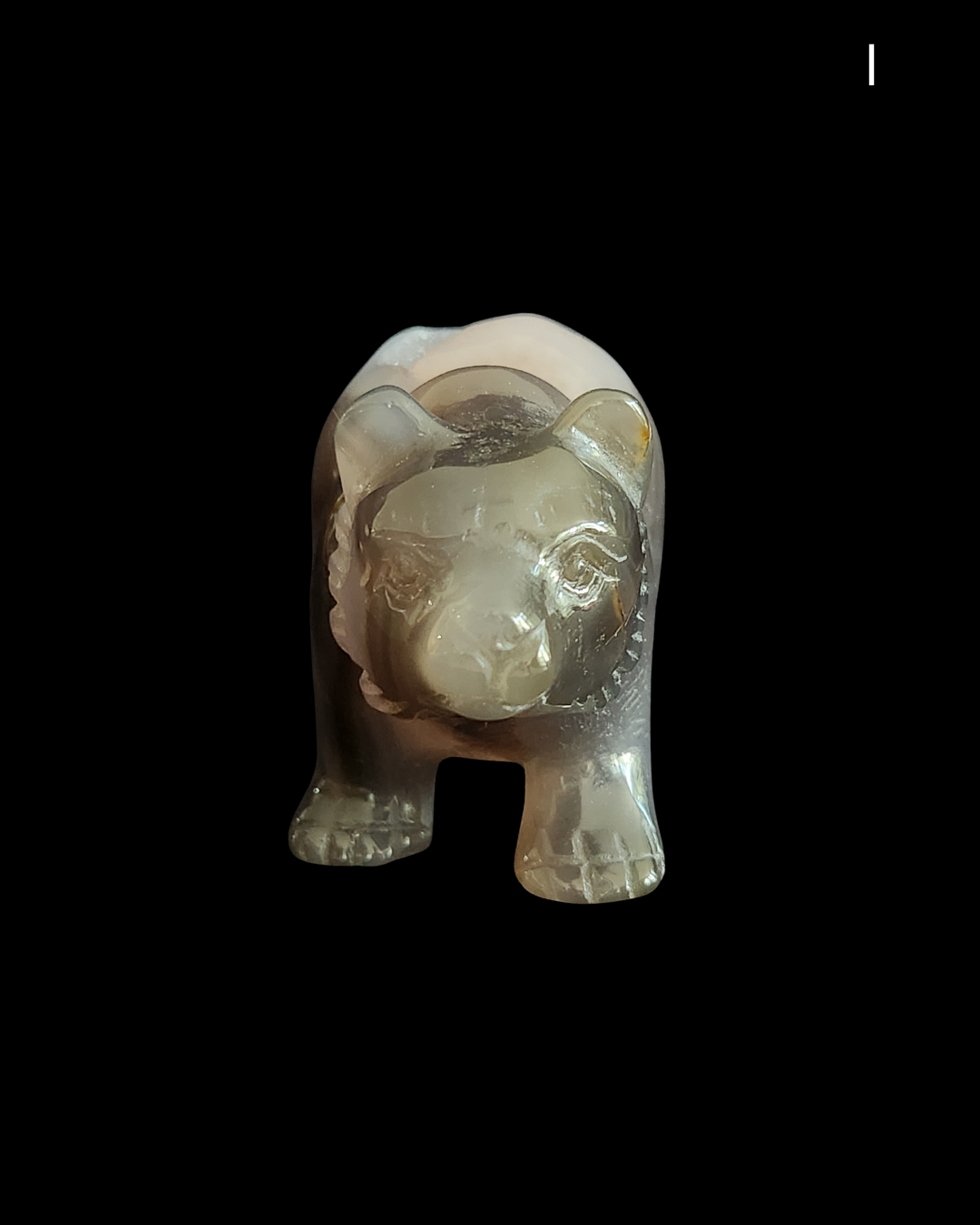 Bear - Amethyst Agate Geode