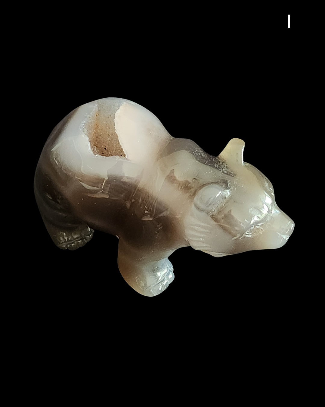 Bear - Amethyst Agate Geode