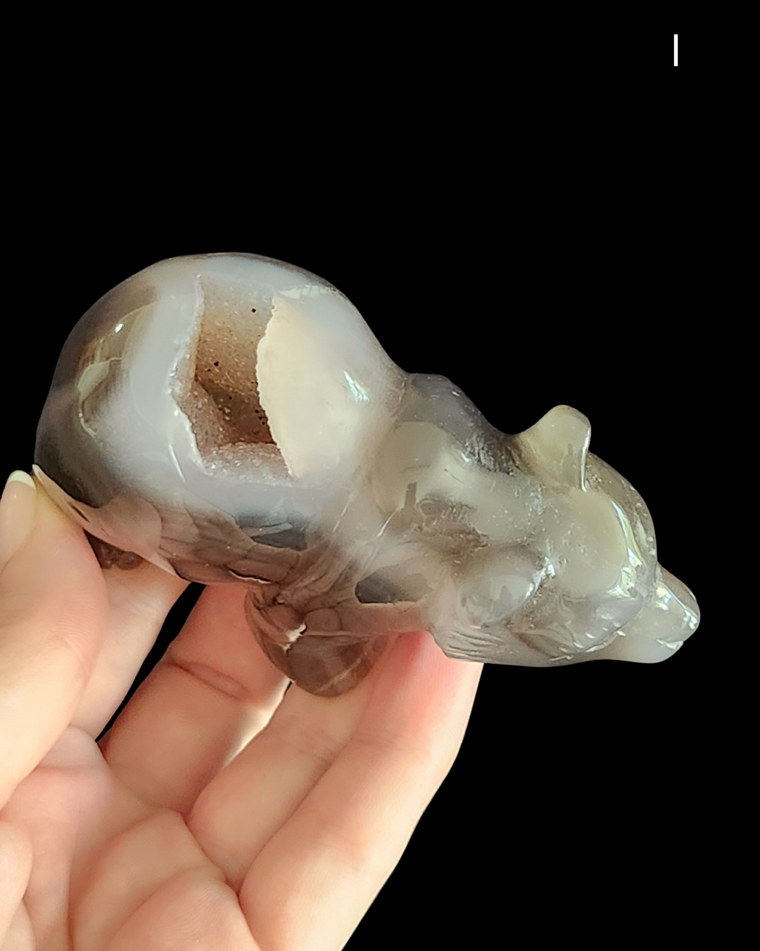 Bear - Amethyst Agate Geode