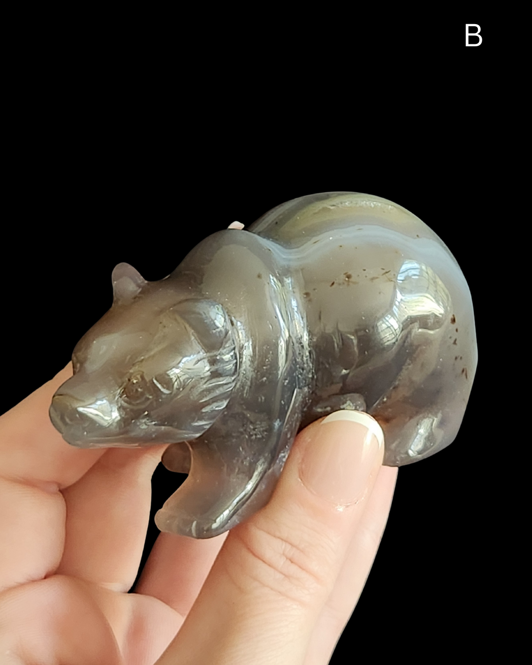 Bear - Amethyst Agate Geode